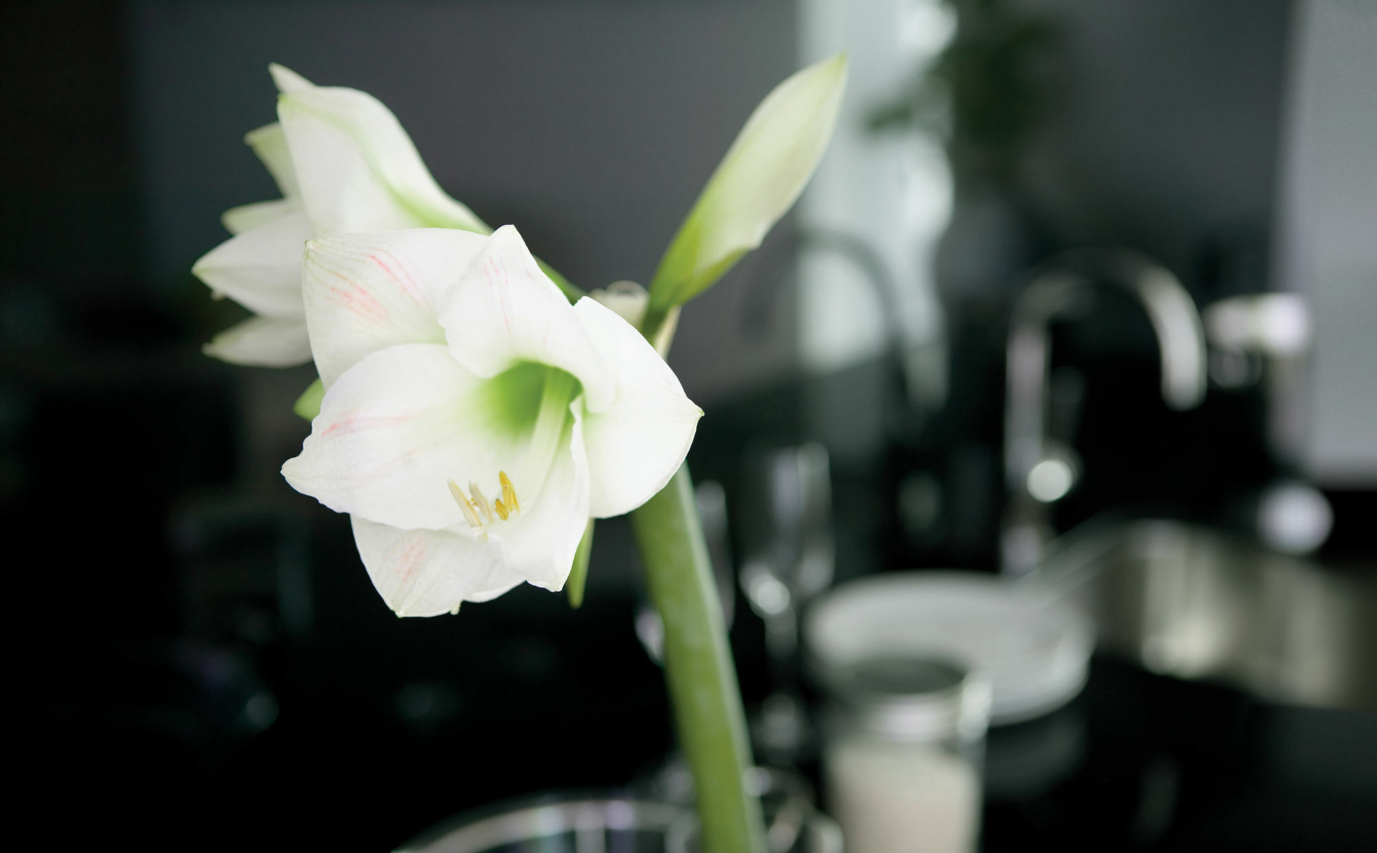 The Putman Hotel Hong Kong Ngoại thất bức ảnh